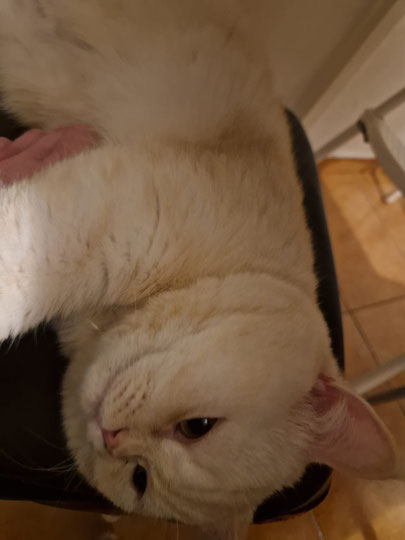 kuscheln ist das Größte :)