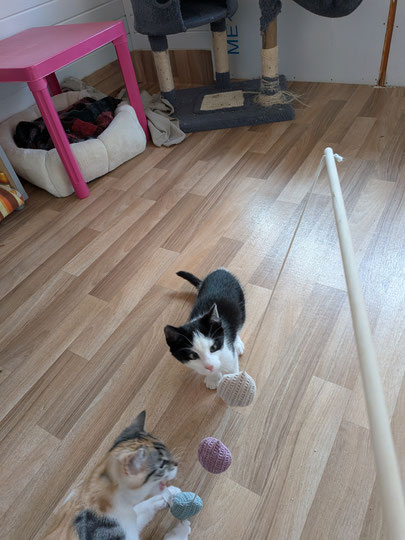 Max 