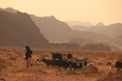 In Jordaniens Wüste lernen wir die Traditionen der Beduinen kennen