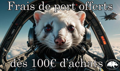 boutique-en-ligne-airsoft-frais-de-port-offerts-airsoft