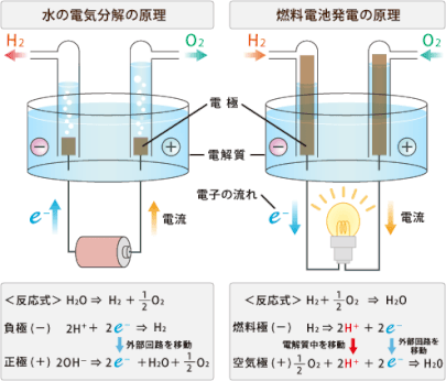 燃料電池の原理