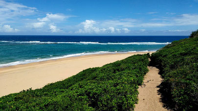 The view from Nhanombe lodge's private footpath - Dante Harker