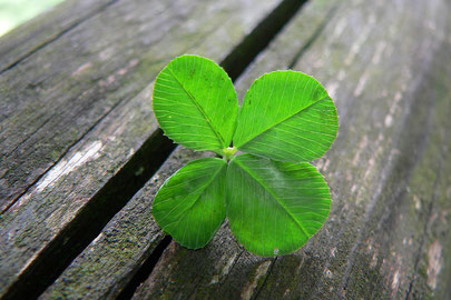 (cc by Umberto Salvagnin; https://commons.wikimedia.org/wiki/File:Luck_is..._%28explored%29.jpg)