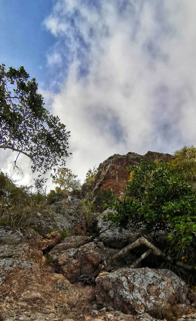 Karibik, Karibikreise, Backpacker, Backpacking, Zwei auf Achse, Travel the World, Westpund, Curacao, Meeresschildkröte, Willemstad, Punda, Otrabanda, Weltreise, Christoffel, Bergsteigen, Wandern, Nationalpark, Sint-Christoffel