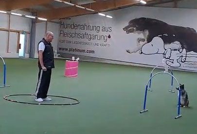 In einer großen, hellen Halle steht ein Mann in sportlicher Kleidung in einem Hula-Hoop-Reifen auf dem Boden. Vor ihm befindet sich ein kleiner Hund, der neben einem blauen Hoopers-Hindernis sitzt.