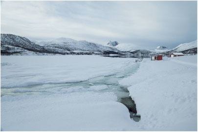 Arctic Beach 1