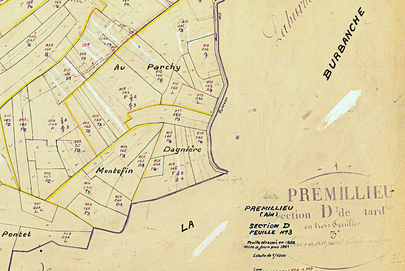 "Dagnière", sur le cadastre rénové de Prémillieu (1961), indiquait une terre où l'on faisait sécher les tiges de chanvre. (ADA/cadastre).