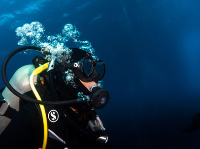 Open Water Diver - Der Anfänger Tauchkurs in Berlin