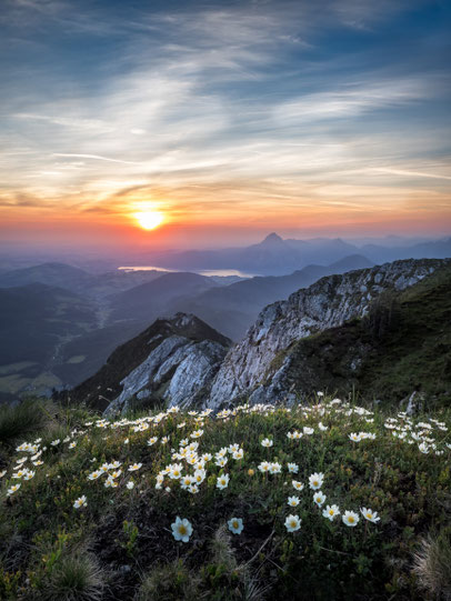 Sonnenaufgang in den Bergen. Bild von Simon Berger auf Pixabay.