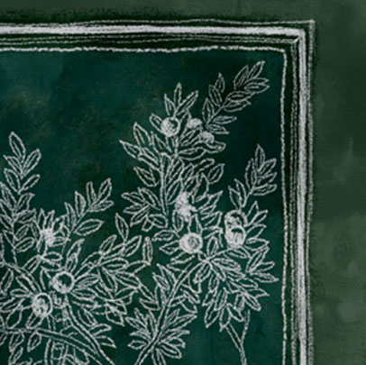 wallpaper collections, Elitis