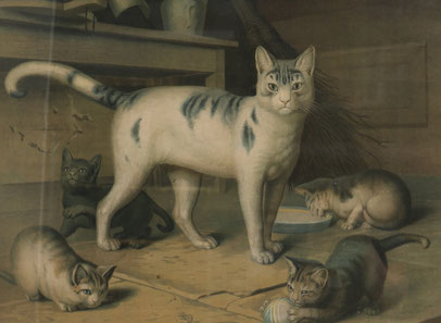 A large and wonderful vintage print of a family of cats in the manner of Gottfried Mind