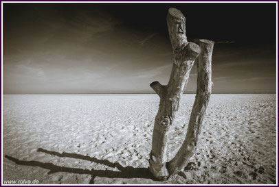 Roland Valter#rolva#Natur-Fotografie#Aachen Zeeland#Strand#sw#