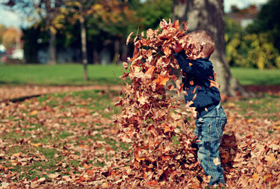 Herbst, Laub, Kind, Park