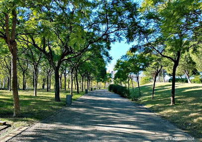 Siguiendo el camino hacia el Lago del Parque de Cabecera desde  la Av. Pío Baroja