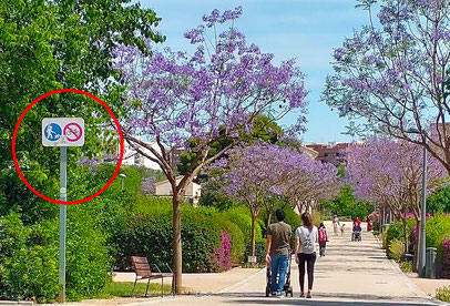 La circulación de bicicletas y patinetes electricos en parques de Valencia se permite, generalmente a velocidad moderada y en zonas señalizadas (carriles bici o itinerarios autorizados), pero no se respeta.