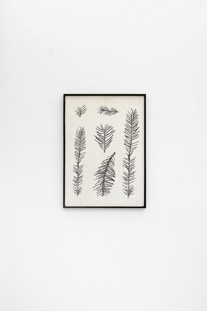 Herbarium, 2020, 46 x 81 cm