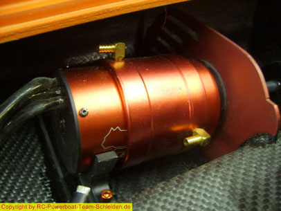 Die großen Leopard 58