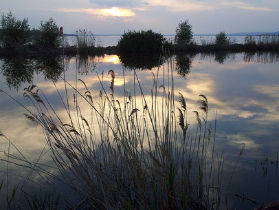 Plattensee, Ungarn, Badacsony