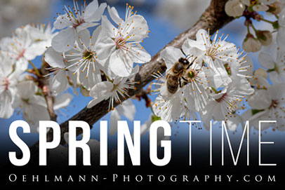 News Banner, Newsletter Februar 2024, Ausstellung PHOTO TREASURES, Dr. Ralph Oehlmann, Oehlmann-Photography