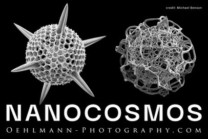 News Banner, Newsletter Dezember 2025, Dr. Ralph Oehlmann, Oehlmann-Photography