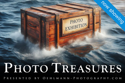 News Banner, Newsletter Februar 2024, Ausstellung PHOTO TREASURES, Dr. Ralph Oehlmann, Oehlmann-Photography