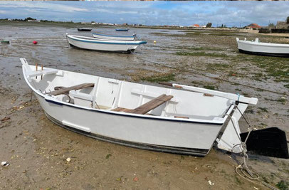 Ecume des jours, vieux gréement, Bourcefranc-Le Chapus, Pays Marennes-Oléron, Charente-Maritime