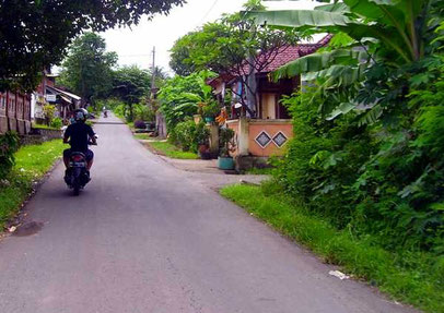 Road in a village