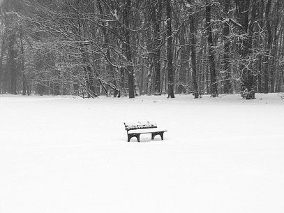 "AUS-SIT-ZEN" (c) De Toys, 7.12.2012 @ Schloßpark Eller Süd (Düsseldorf)