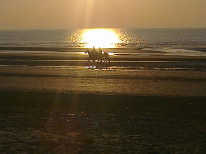 Aus der Serie "BRÜGGE TO GO" (c) De Toys, 24.7.2012 @ De Panne (Belgien)