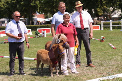 Hier ist der Name Programm- Top von Repgow gewinnt die starke Klasse der Shetlandponys unter 87 cm!