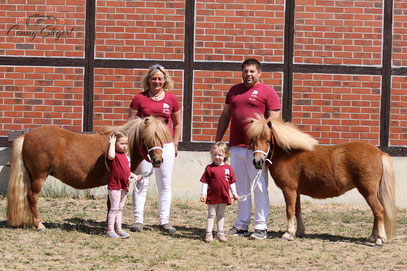 Shetlandponys aus dem Wendland