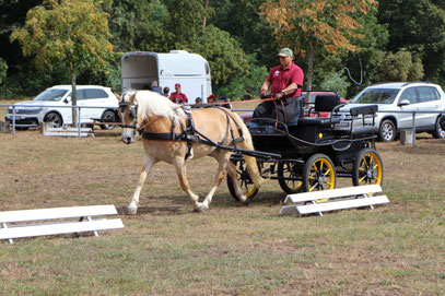 Foto: J. Sperfeldt