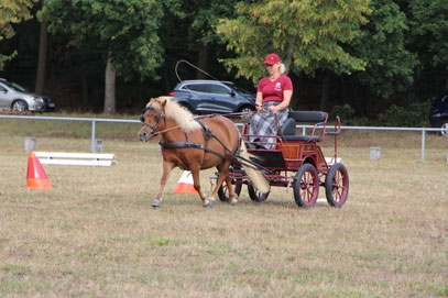 Foto: J. Sperfeldt