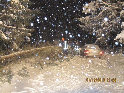 Schneebruch 1.12.10 21.11 Uhr, zwischen Schnarrtanne und Rützengrün                                        Foto: FFW Vogelsgrün