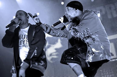 NTM ( Kool Shen et JoeyStarr )  Lyon - 2008
