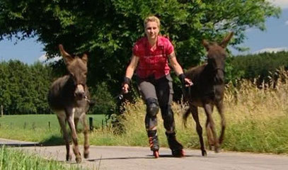 Foto: VOX Hundkatzemaus