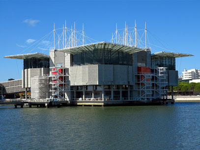 Oceanário de Lisboa, größtes Indoor-Aquarium Europas