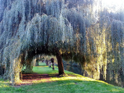 Spaziergang in der Nähe von Schloss Blankensee