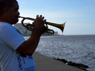 Trompeter am Malecón