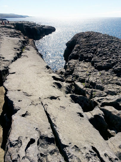 Kliffküste des Burren, eine Karstlandschaft