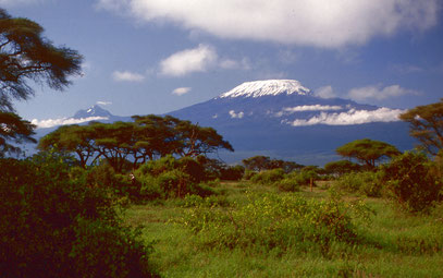 Der Kilimanjaro vom Amboseli Nationalpark aus gesehen