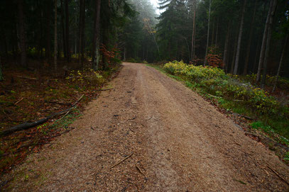 Das war einmal ein schmaler Wanderweg