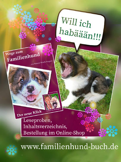 Buch_über_Hunde