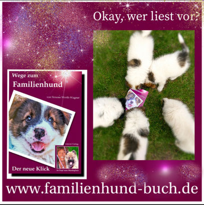 Vom_Welpen_zum_Familienhund