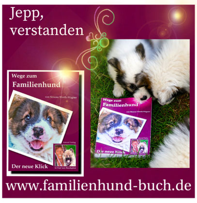 Buch Erziehung Welpe Familienhund