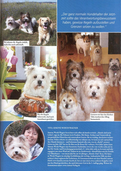 Welpe Familienhund Elo Junghund Erziehung Tipps