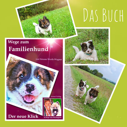 Vom Welpen zum Familienhund