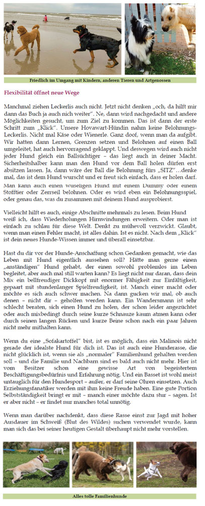 Therapiehund Schulhund Erziehung Assistenzhund