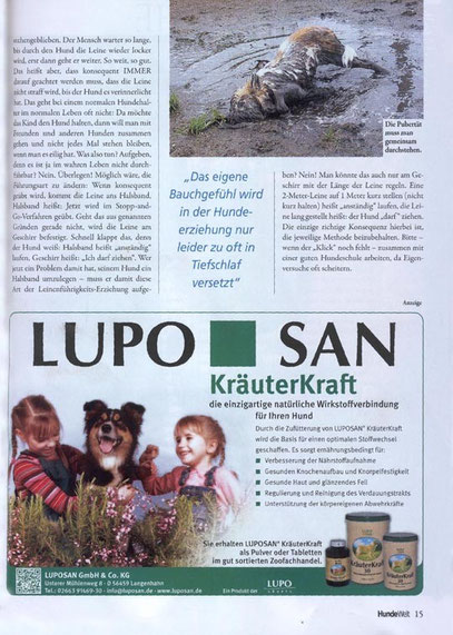 Erziehung Hund Ratgeber Welpe Geschenk