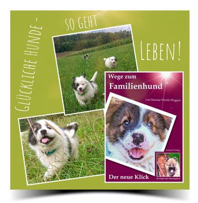Vom Welpen zum Familienhund 
